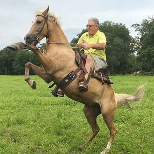 Meet your Posher, Michael